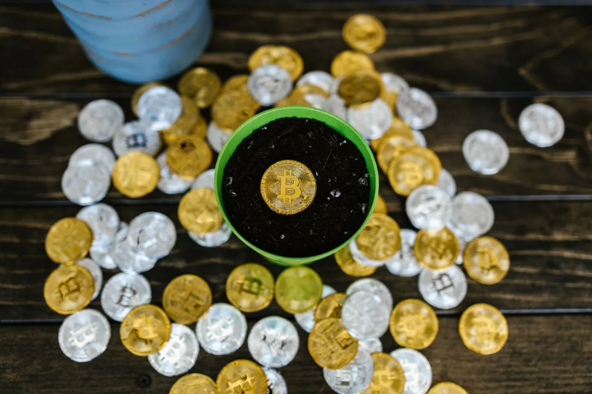 A small stack of coins next to a growing plant sprout, representing savings growth
