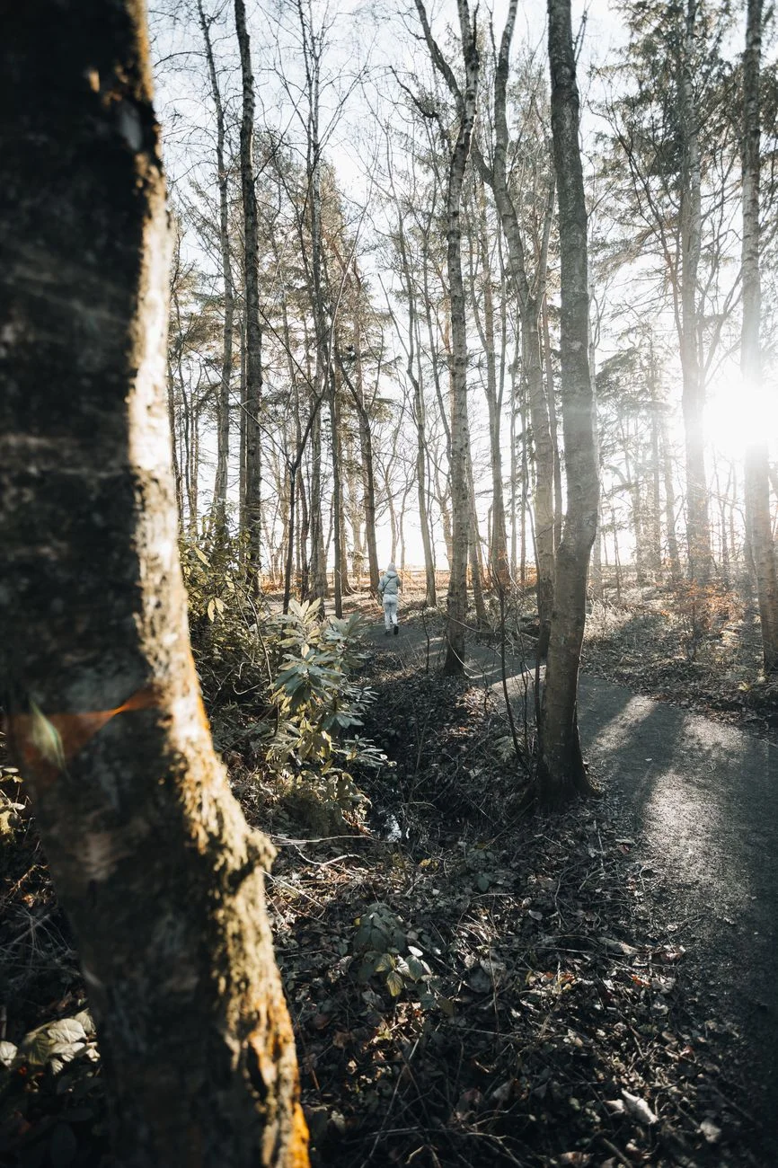 A person walking on an outdoor trail through trees
