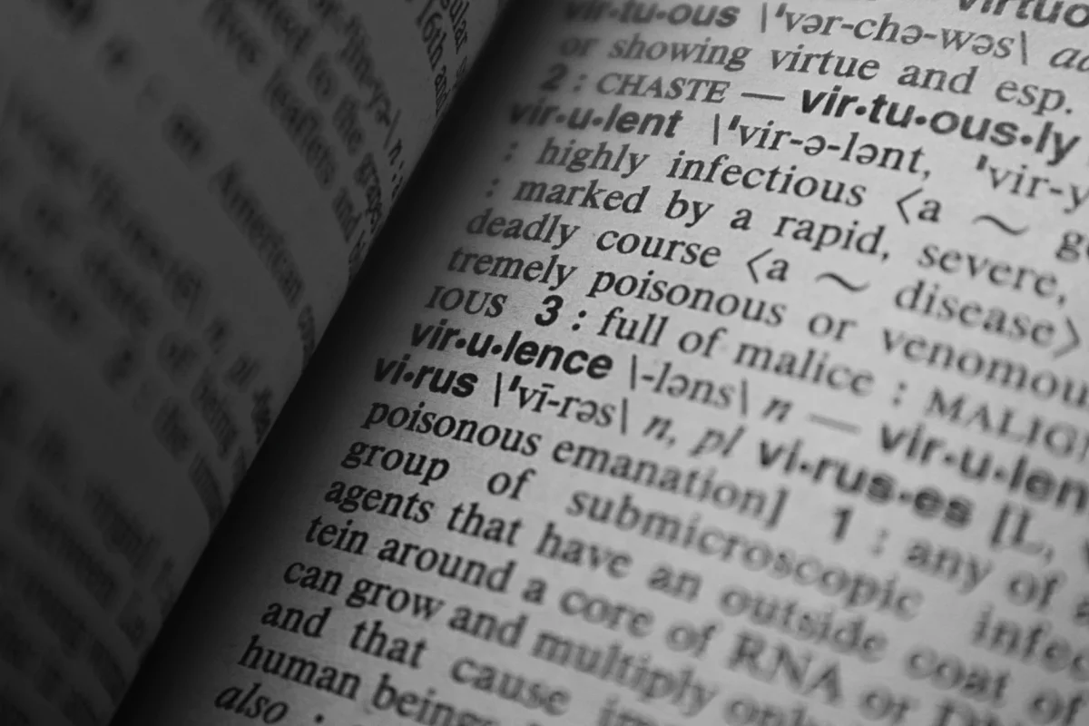 An open reference book with an index and glossary, representing structured, organized information