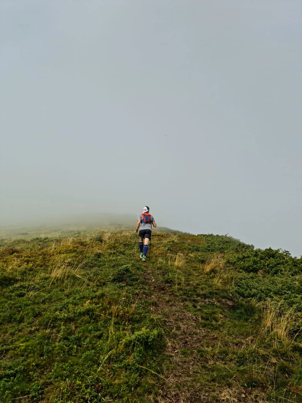 A runner jogging along a wooded trail in the early morning